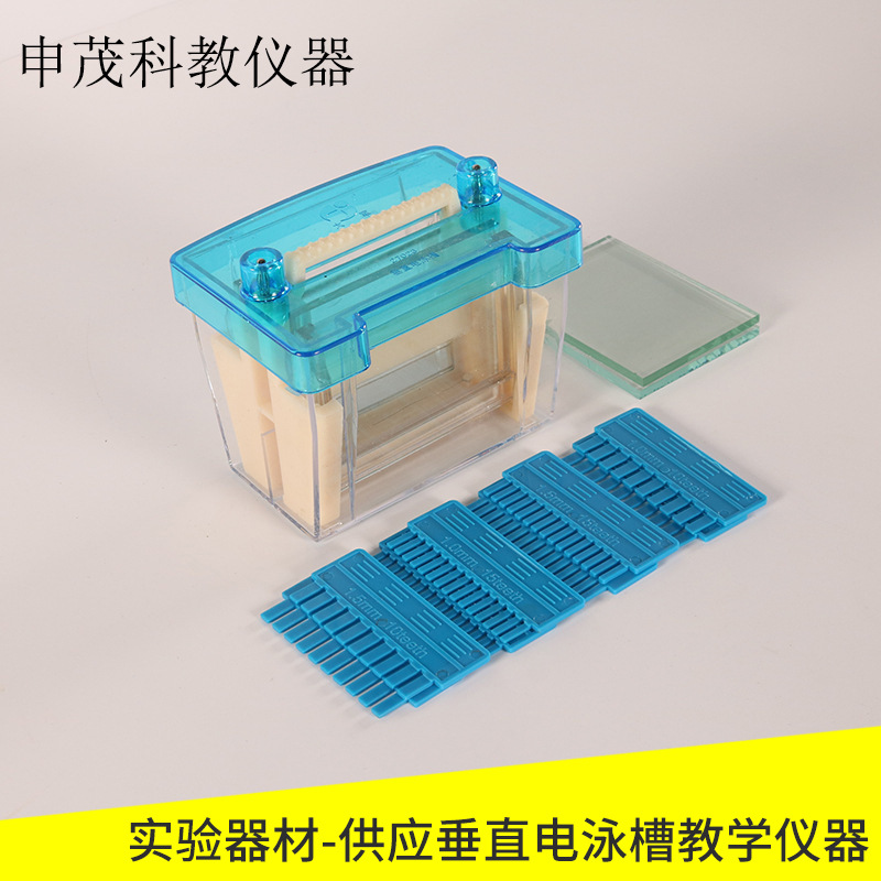 扬州申茂科教仪器 供应垂直电泳槽教学仪器 小号电泳槽 实验仪器