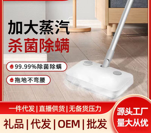 Steam Mop Electric Household High Temperature Cleaning Machine Handheld Multi-Function Mopping Steam Mop Other