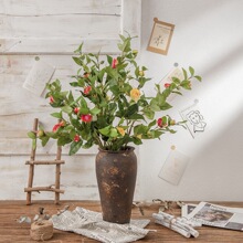 �L֦���滨�S�Ҽٻ��Gֲ���c�b�ˇƷINS�L�羳õ�廨�����l