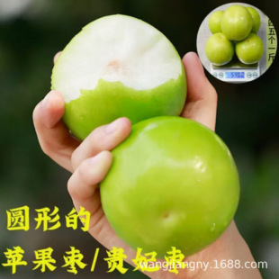 ̨�������������F���ۗ�����ţ���۽z�����ϱ����Nֲ�����O������