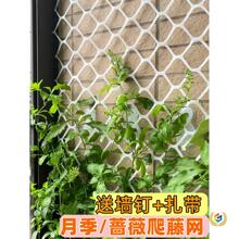 �Nޱ�¼����������z�Wֲ�������W���������栿���W�@ˇ���پW֧��