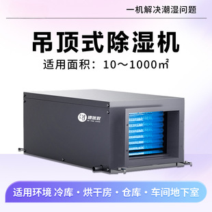 Ceiling dehumidifier wall-mounted industrial central dehumidifier basement factory workshop pipe dehumidifier ceiling type