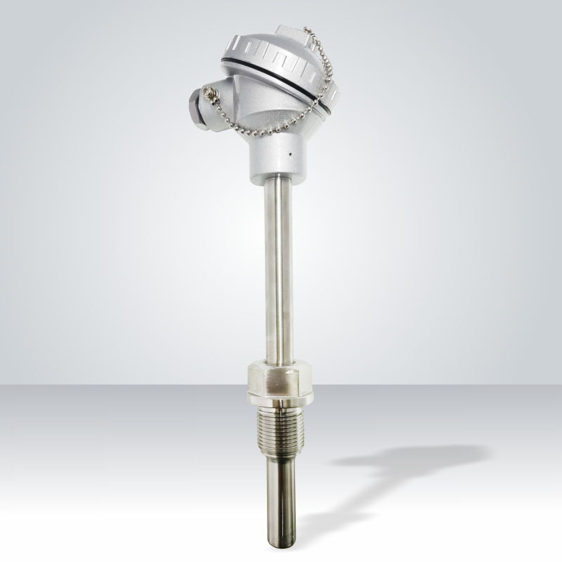 Pt100铂热电阻 Pt100温度传感器WZP-231/230装配式固定螺纹热电偶