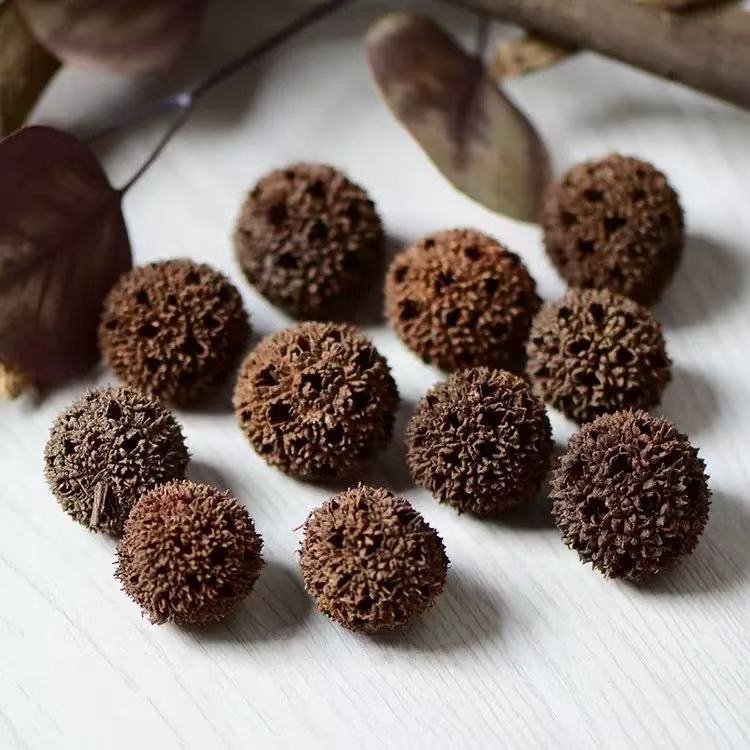 10 frutos de hoja de arce