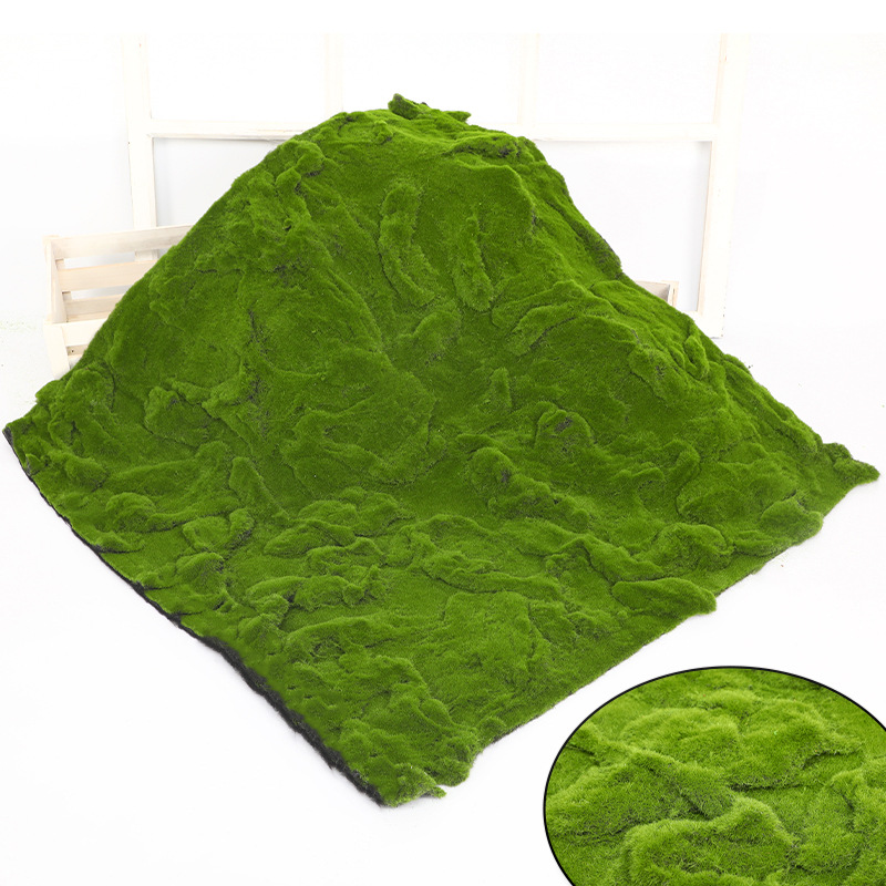 Thickened wrinkled moss
