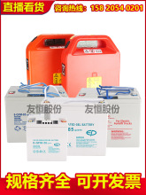 叉車中力金剛合力達鋰電動蓄電池液壓升降搬運車配件電動叉車電池