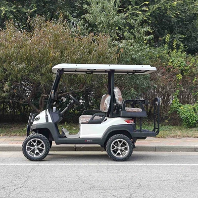 Zhongfeiyida Electric Golf Cart Elektrikli qolf avtomobilləri