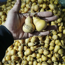 ��Ȼ���JС���������ֶռ��^���κ��J��4-7�����S�C�l؛9.9Ԫ���]