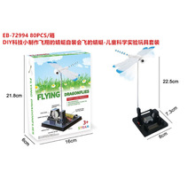 ��ͯ��ѧʵ�����DIY�Ƽ�С���� ��װ��ɵĺ�Ÿ��