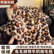 �������п���ë�qƴţ�̽që̺�W�tͬ���̺��ů�Ӻ��ﶬ�q�w̺