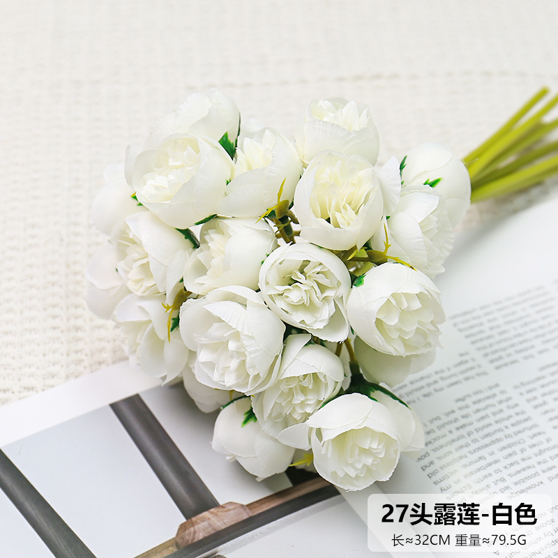 27 릴리안-화이트