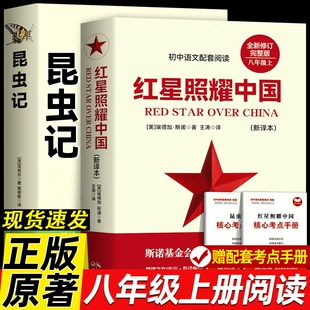 Product Media
