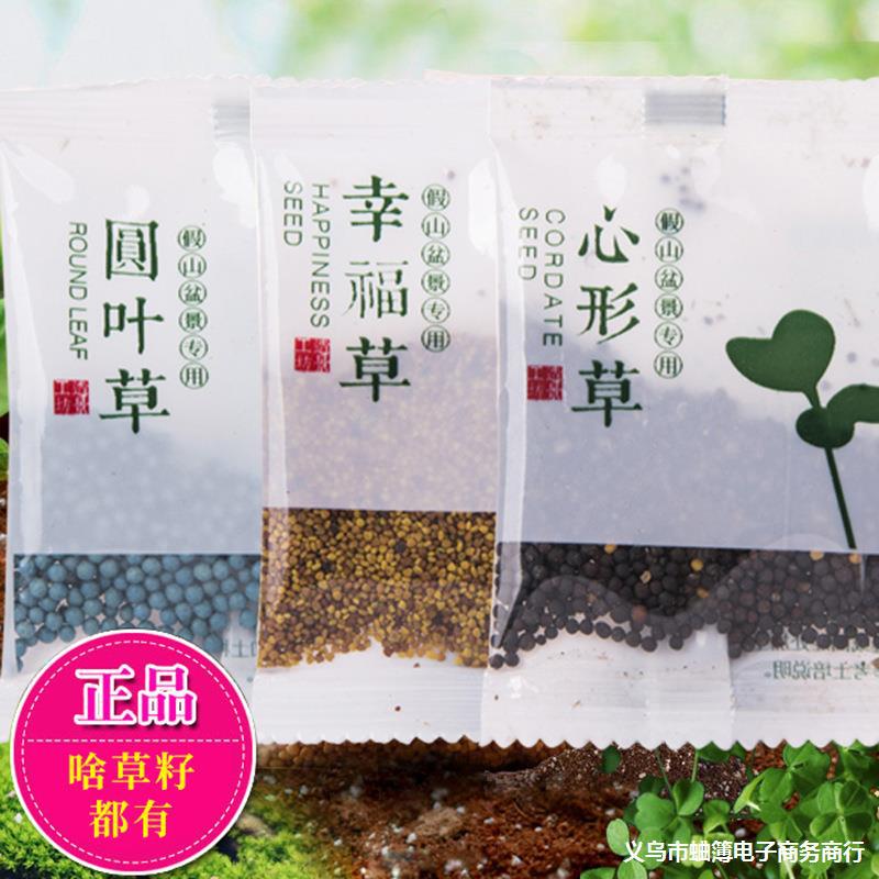 草籽种子吸水石上水石假山盆景造景装饰小叶恋石大叶恋石混装批发