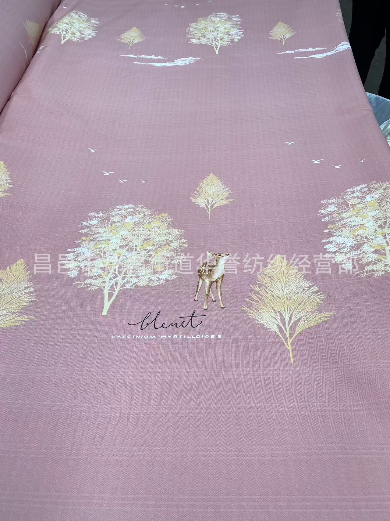 31e797f9f7ce4018d4ef88b5bc07f4