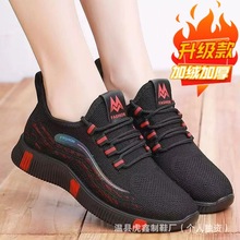 ϱ޲ЬŮЬwЬܛ\ЬeꋌӽqЬ¿