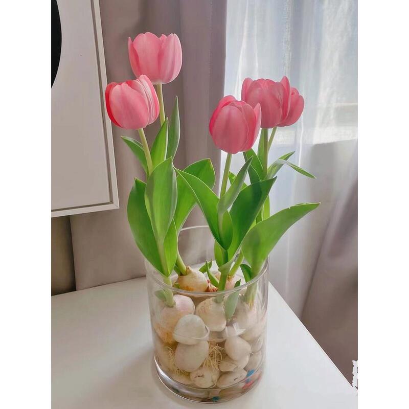 Imported Tulip Bulbs with Buds 5-Degree Balls Hydroponic Soil Culture Blooming in All Seasons Balcony Potted Cold-Resistant Plants and Florals