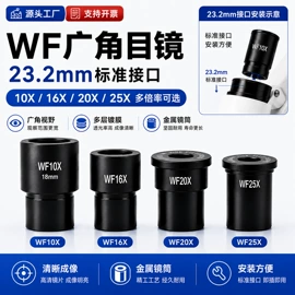 显微镜;目镜、物镜;反射镜