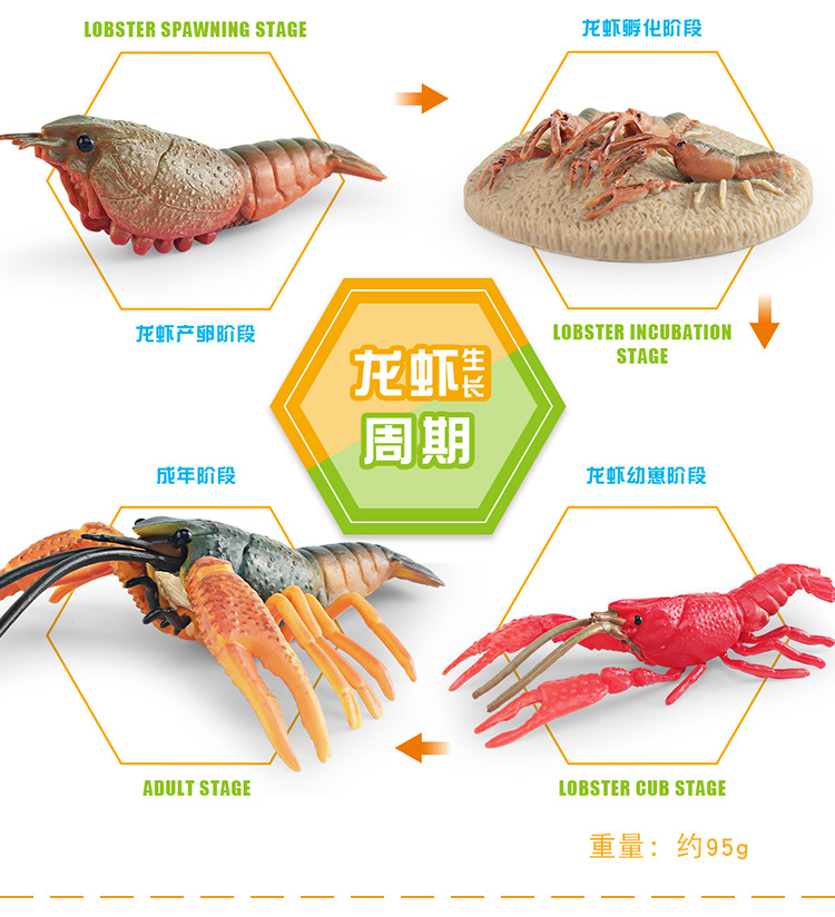 图层 3.jpg