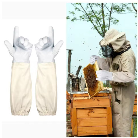 微信图片_20250629122809