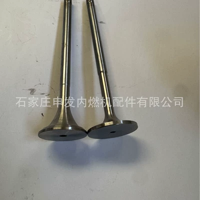 In stock: Scania (SCANIA) DC11 intake valve 1785076, exhaust valve 1791152