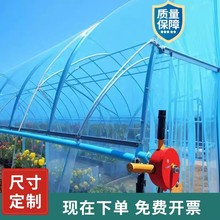 ĤoĤpoĤ͸ӺrBֳÿϻL۱FĤ