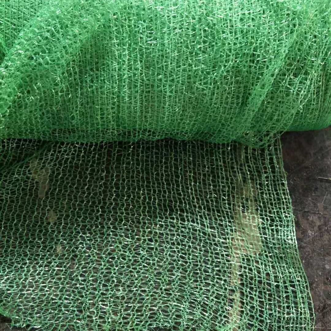 现货直销 绿色遮阳网/防尘网 工地盖土网 黑色农用遮阴网