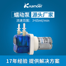 KPHM100 12v24V 100ml/min С�ͳ�ˮ������������΢���䶯��