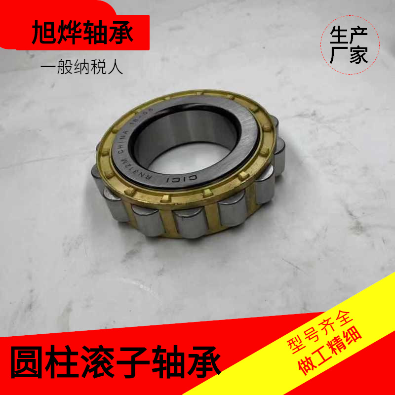 摆线减速机配套 偏心套圆柱滚子轴承 RN312M 502312H自主厂家现货