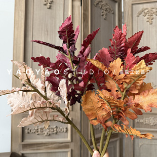 ��ɫ�y�~�� �����Ե��� ��ɫ�����b��Ĕz������ݾGֲ�廨���