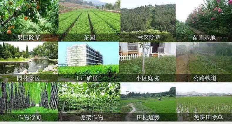 63e47f25fa5d70444ae73cc9d35141