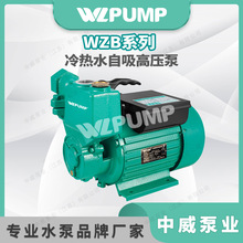 WZB25-60ØIWLPUMPˮøߏˮ**