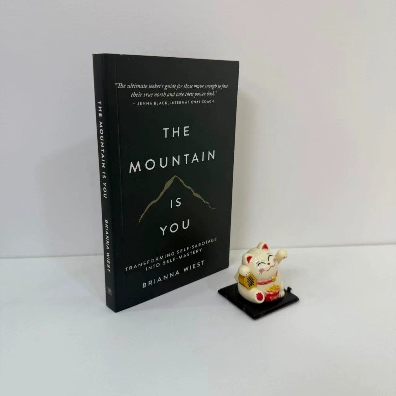 Книга THE MOUNTAIN IS YOU, мягкая обложка, руководство по самоуправлению, 0,232 кг