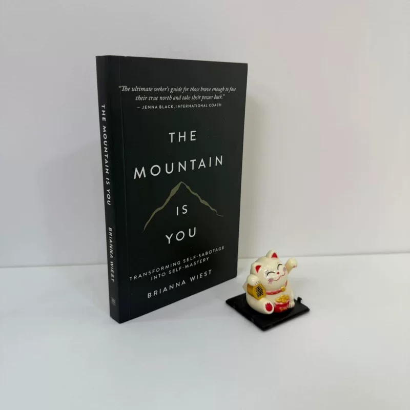 Книга THE MOUNTAIN IS YOU, мягкая обложка, руководство по самоуправлению, 0,232 кг