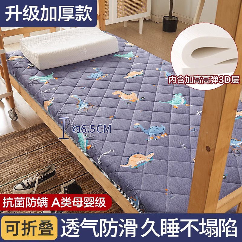 꼬마공룡 [고탄성 3D 진드기방지] 6.5cm