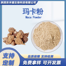 �����۬������۬���ԭ�� ��΢��ș�ĬFĥ������������Maca Powder