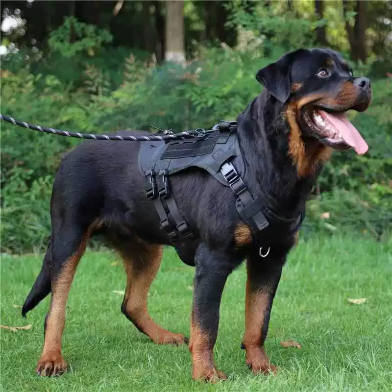 Тактическая шлейка для средних и крупных собак, жилет, регулируемый поводок, немецкая овчарка доберман, взрывозащищенная и удобная.