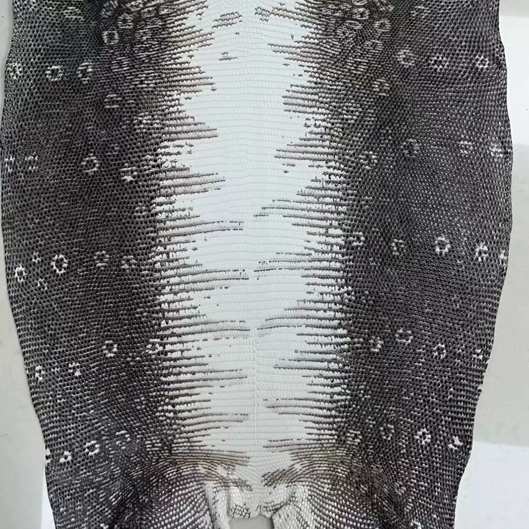 蜥蜴皮革真皮蜥蜴皮料整张女包手提稀有皮革面料