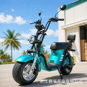 Directly supplied by Brazilian manufacturers: Harley-style wide-tire Citycoco adult electric vehicle, electric bicycle, electric motorcycle, and electric scooter