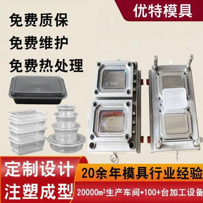 Injection Molding Processing, Precision Plastic Box Molds, Plastic Product Design, Multi-Cavity Plastic Molds, Chongqing Mold Factory (Avtomobil hissələri qəlibləri)