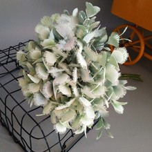 ����5�^��ȸ�ݳ��x�� ���ⱱ�W�ҾӘӰ��g�b�c�������������l