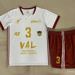 Volleyball 2025 New Men's and Women's Sports Professional Suit Competition Quick-Drying Breathable Training Team Uniform Sports Girls Short-Sleeved