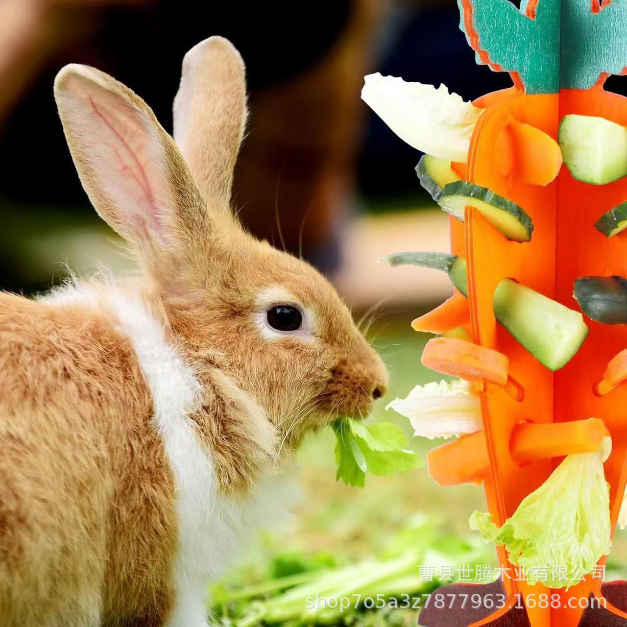 Dispensador de Alimentos de Madera Interactivo para Mascotas Pequeñas