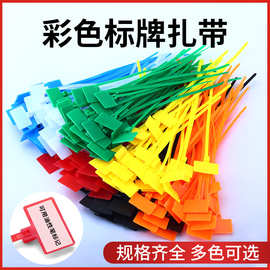 尼龙标牌扎带标签100*3*150*4*200记号牌彩色大小号吊牌环保材质