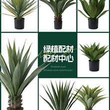 ��Ʒ�|�����m���ԾGֲ����ֲ���Pβ�m�͏d��������b�