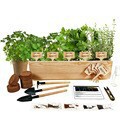 Amazon Cross-Border Indoor Planting Kit Wooden Flower Pot Children's Adult Flower and Herb Set Ecological Pot Green Plants