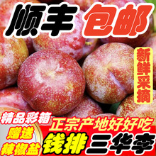 �t���������X�������y�����A�����r�ЋDˮ���������Ӵ��l���l