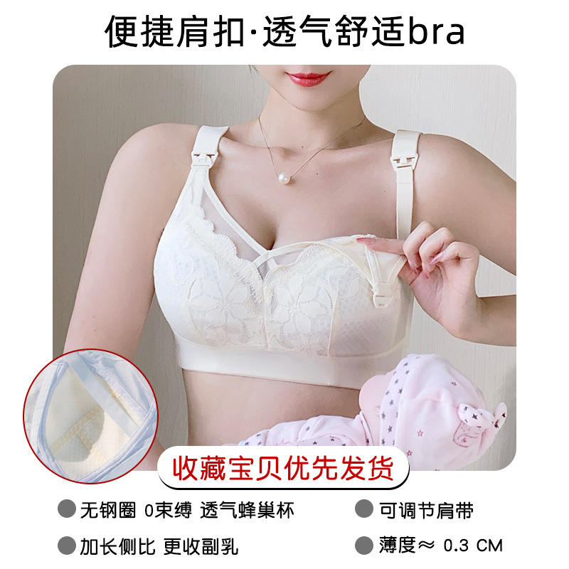샴페인