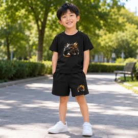 2026儿童体恤套装男孩夏季新款印花短袖短裤男童女童运动套装批发