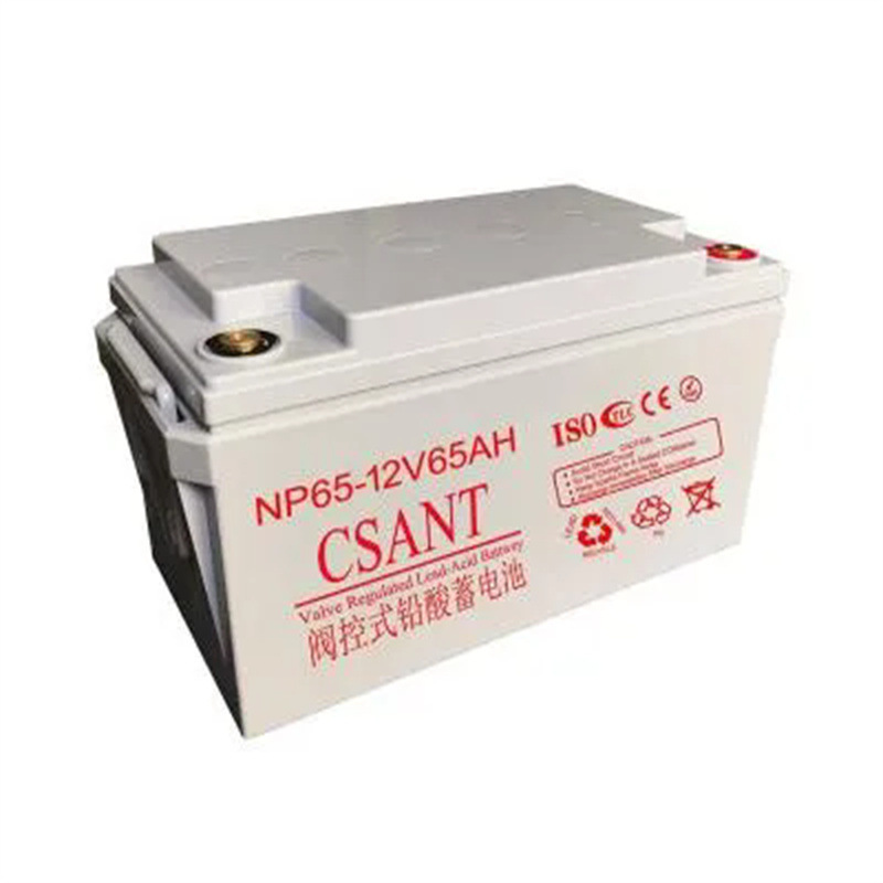 CSANT蓄电池NP100-12 免维护贫液式电瓶 数据存储设备UPS不间断电
