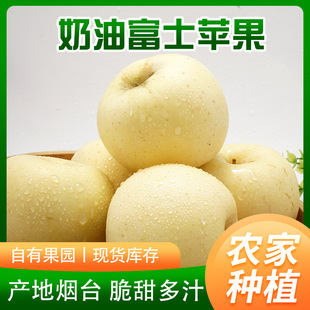 ɽ�|��̨�O�����l�O�����r�����ɱ����Ĵ����֭�S�����͸�ʿ�O��